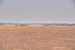 In der Namibwüste
